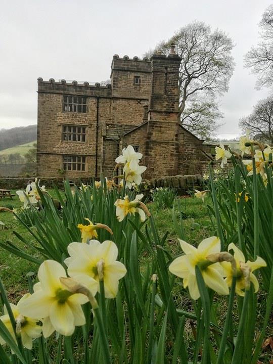 17858161_10212557796364351_932501551_n