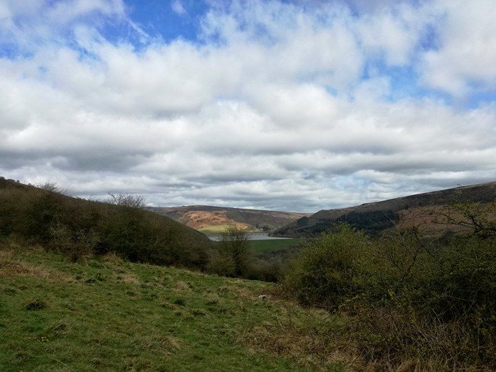 17888240_10212557848485654_452623797_n