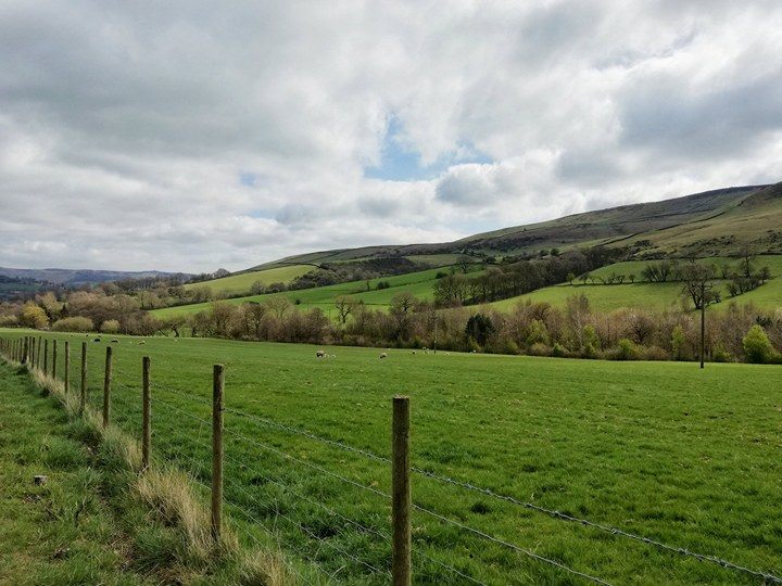 17888387_10212557922247498_2103427417_n