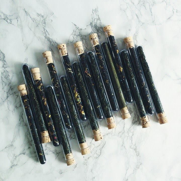 18190896_10212728334507698_2046706965_n