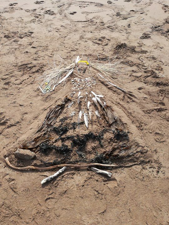 18470852_10212897343372814_1399474823_n