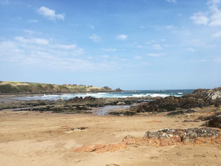 18470879_10212897346372889_1419723917_n