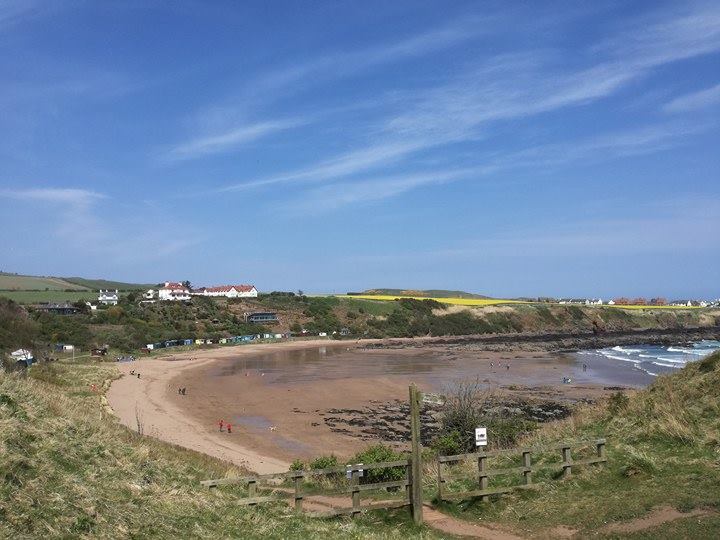 18491990_10212897343052806_707648969_n