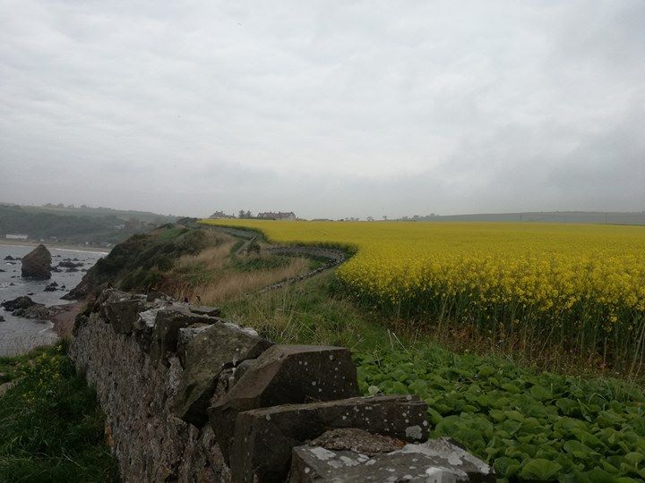 18516341_10212897340932753_1490264406_n