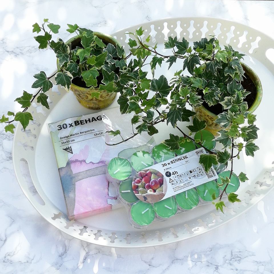 21919320_10214231976297803_1494106727_n