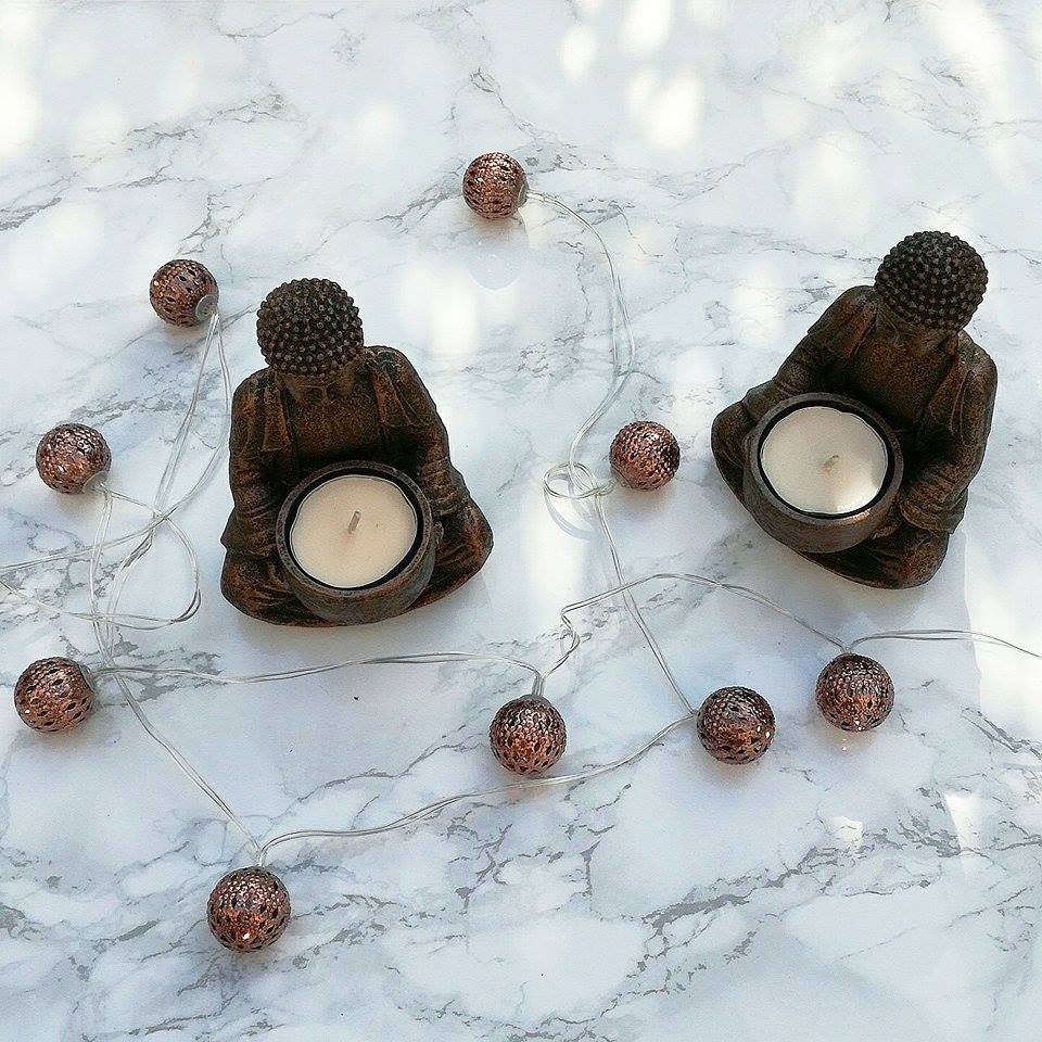 21979141_10214231975577785_633477411_n