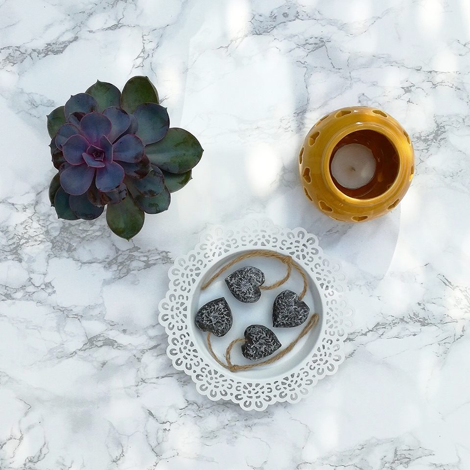 21979158_10214231975537784_1498212282_n