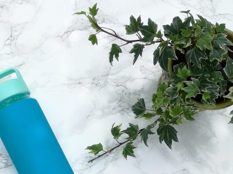 RECENT BUYS – HAUL&nbsp;TIME!