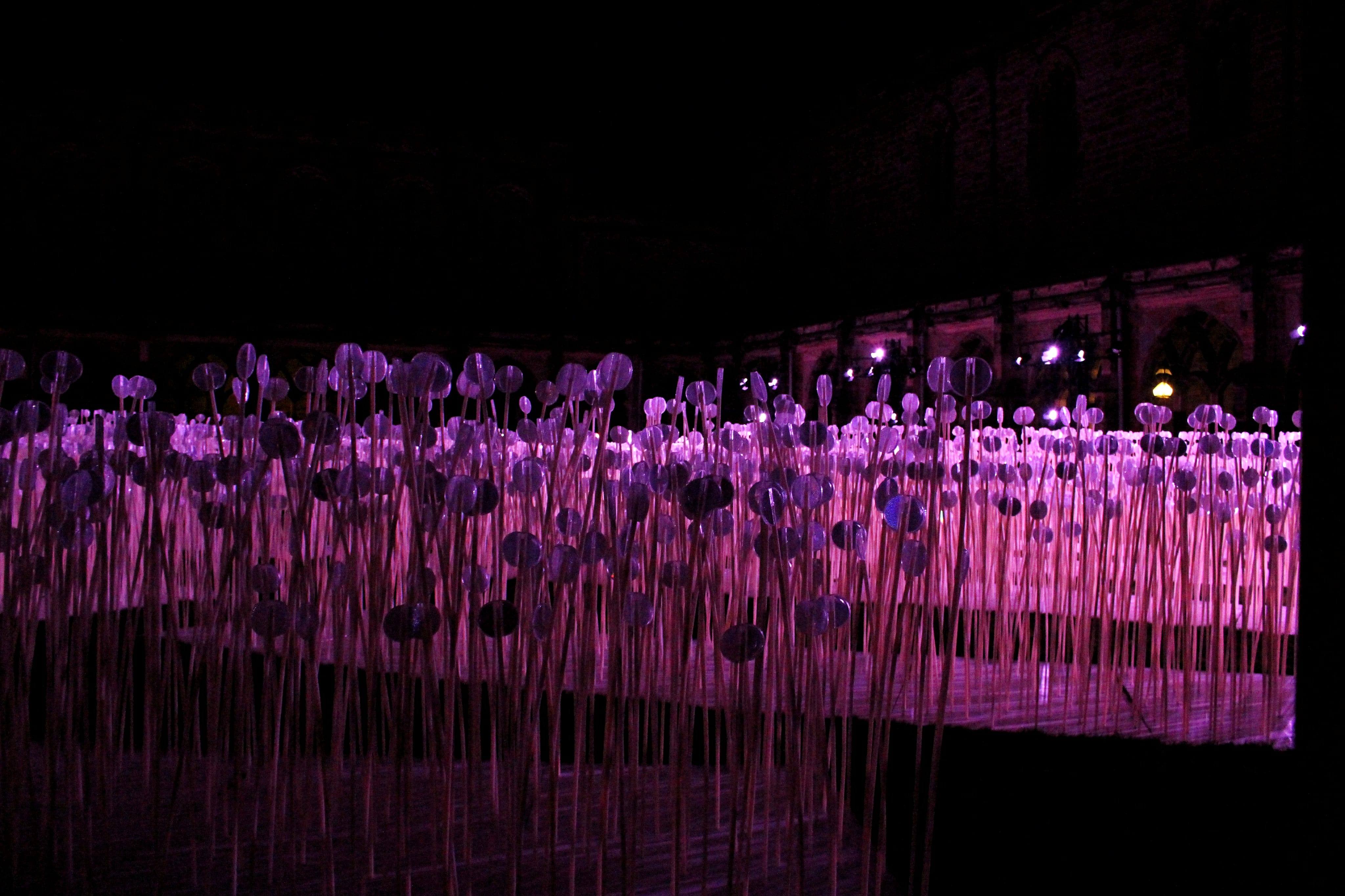 23847799_10214718130131345_1981477280_o