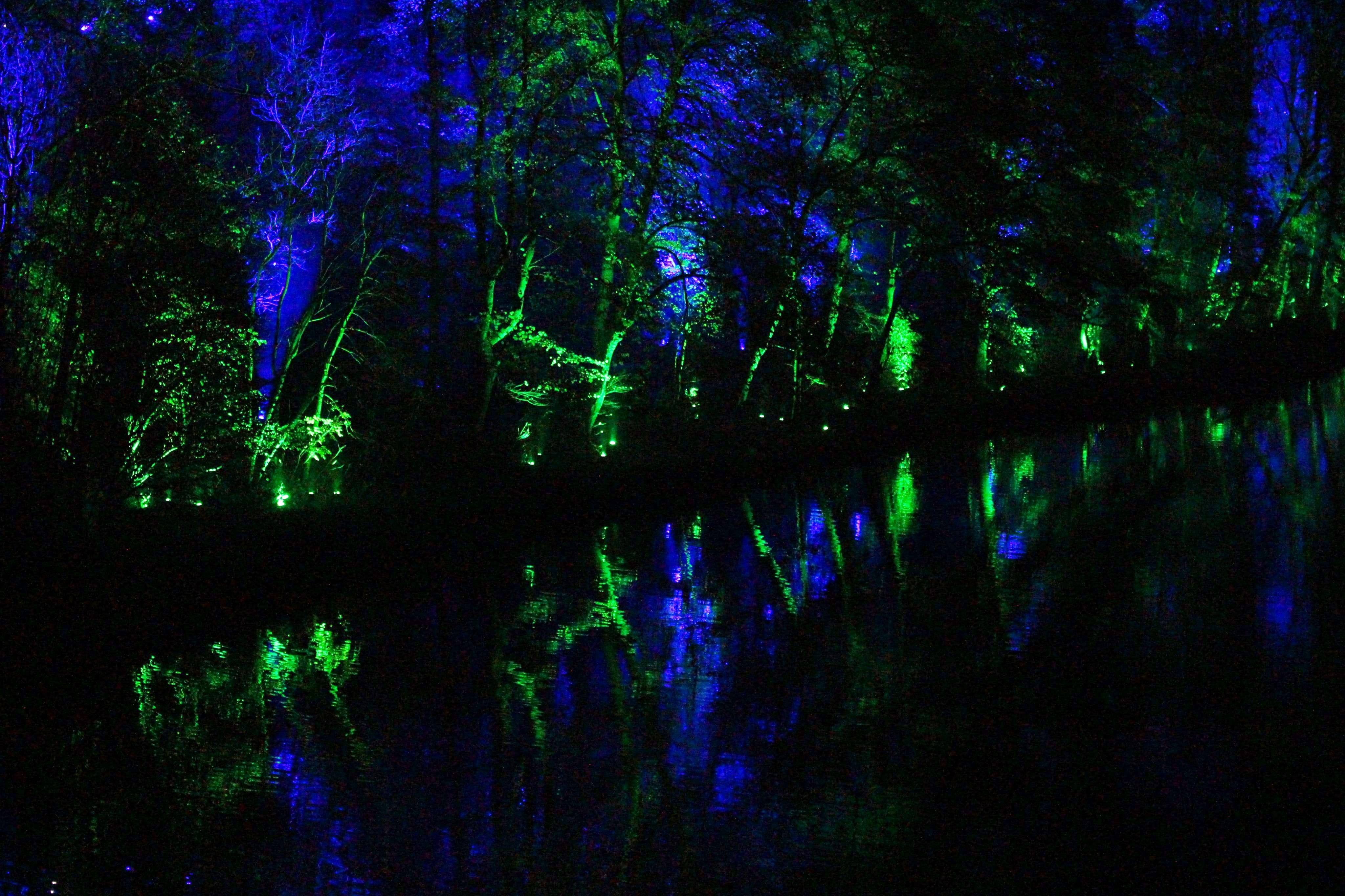 23874151_10214718128531305_1026389478_o