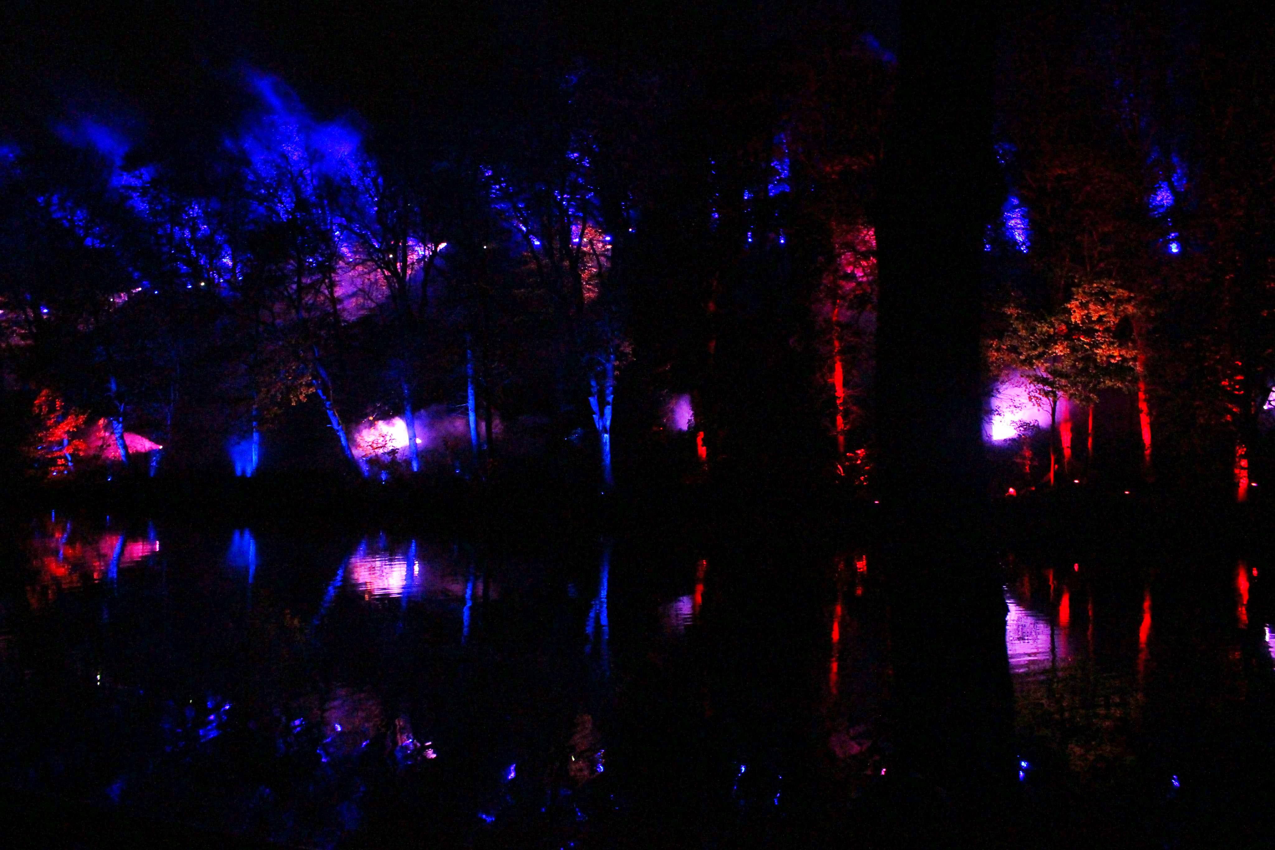 23897461_10214718130451353_341073570_o