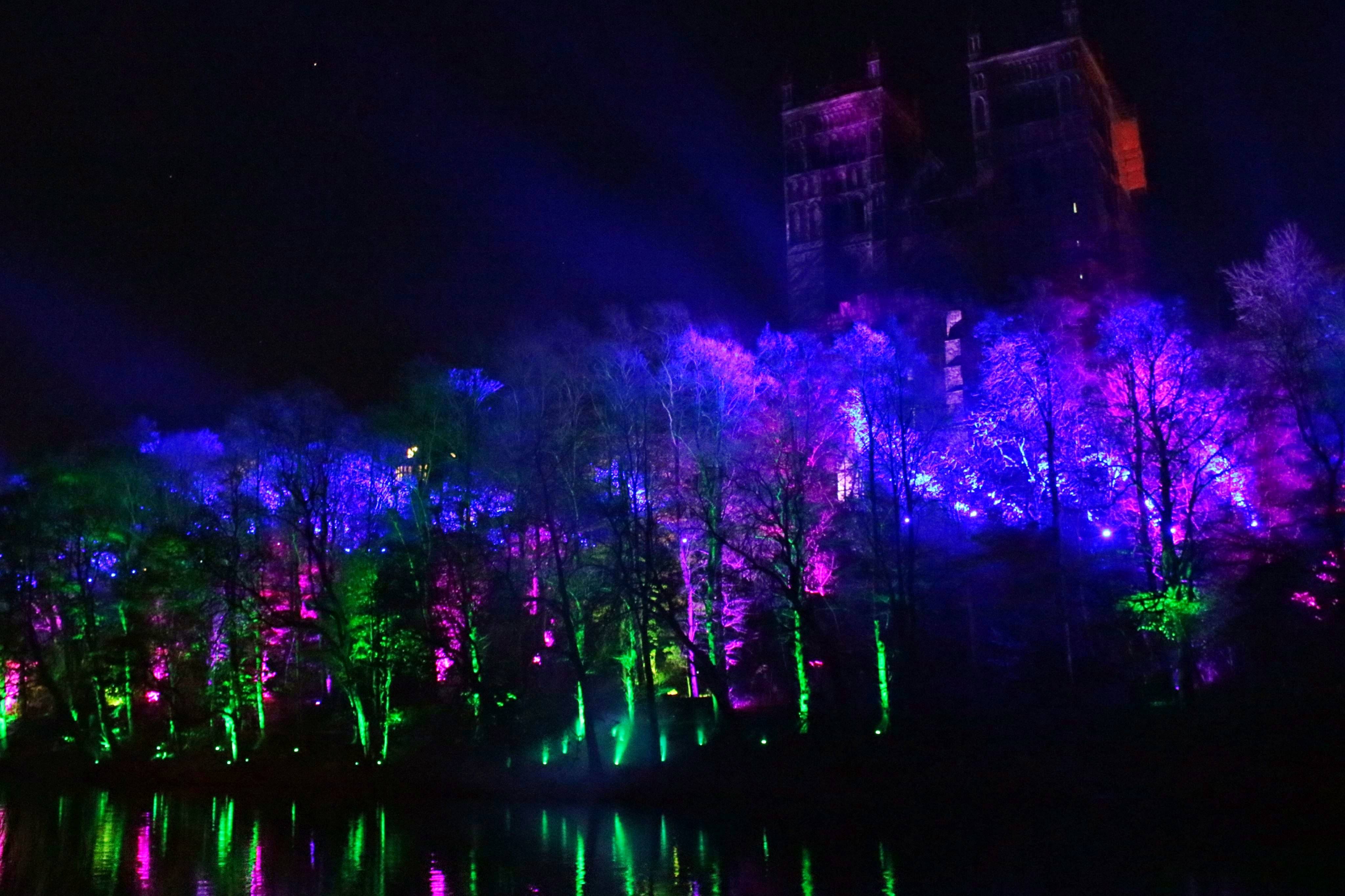 23949504_10214718128891314_783668949_o