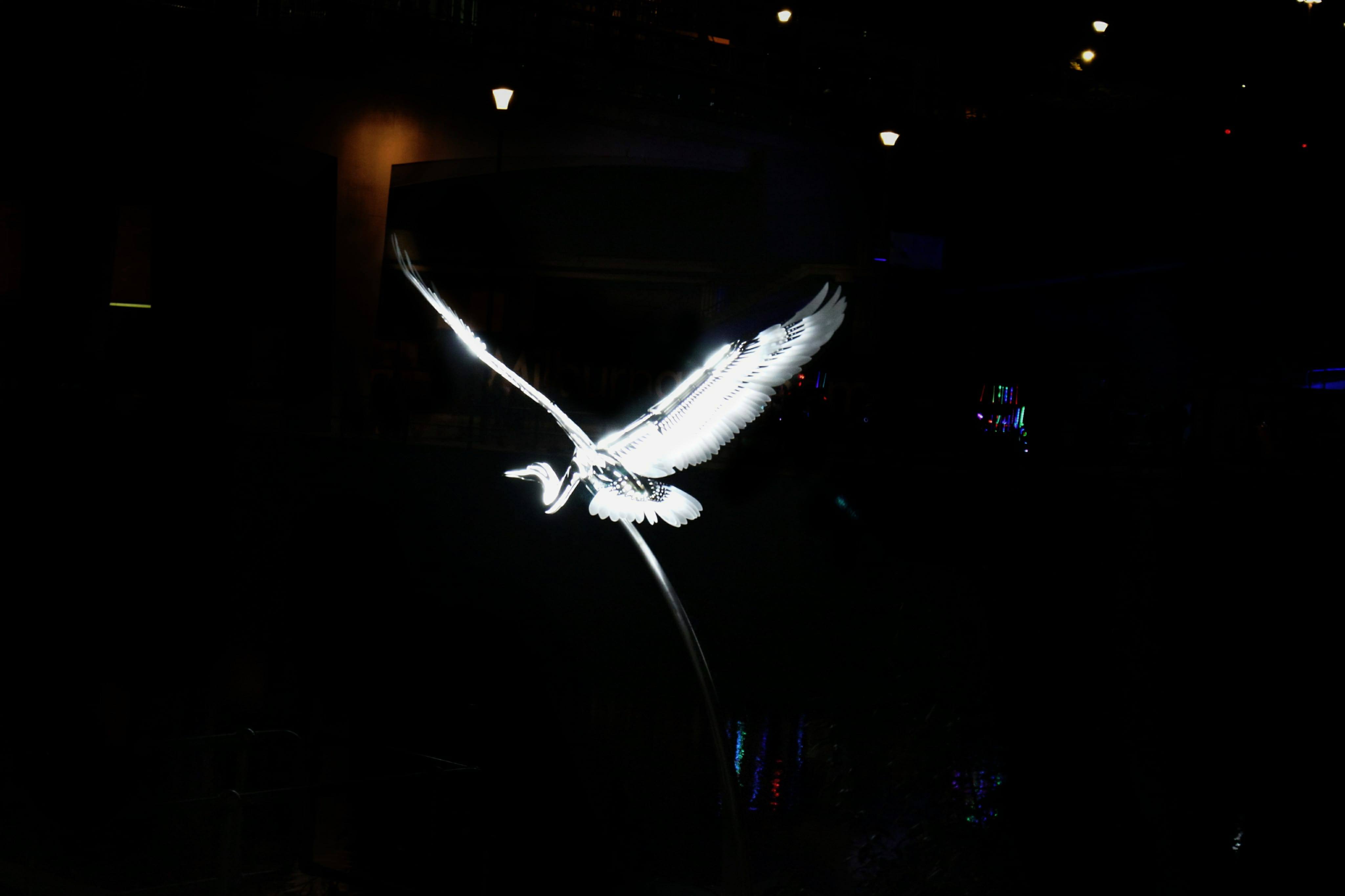 23960763_10214718128971316_750062949_o