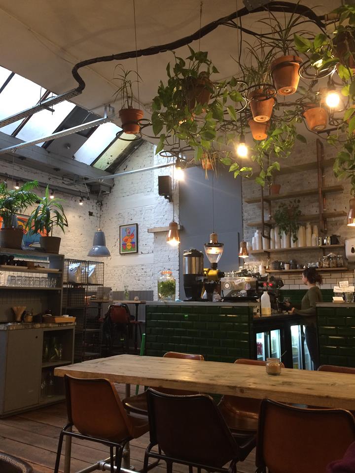 27157672_10215247518965735_232320833_n