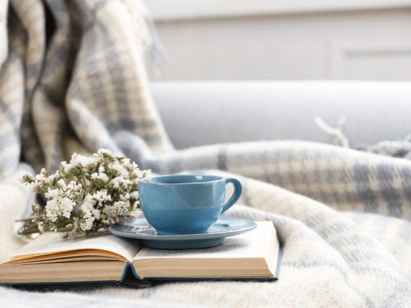 MY 2025 READING&nbsp;GOALS