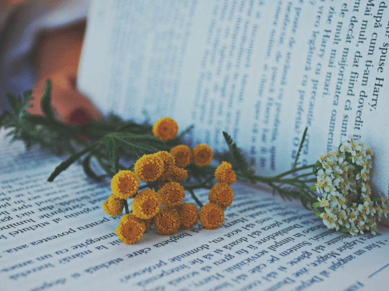 JANUARY & FEBRUARY&nbsp;READS